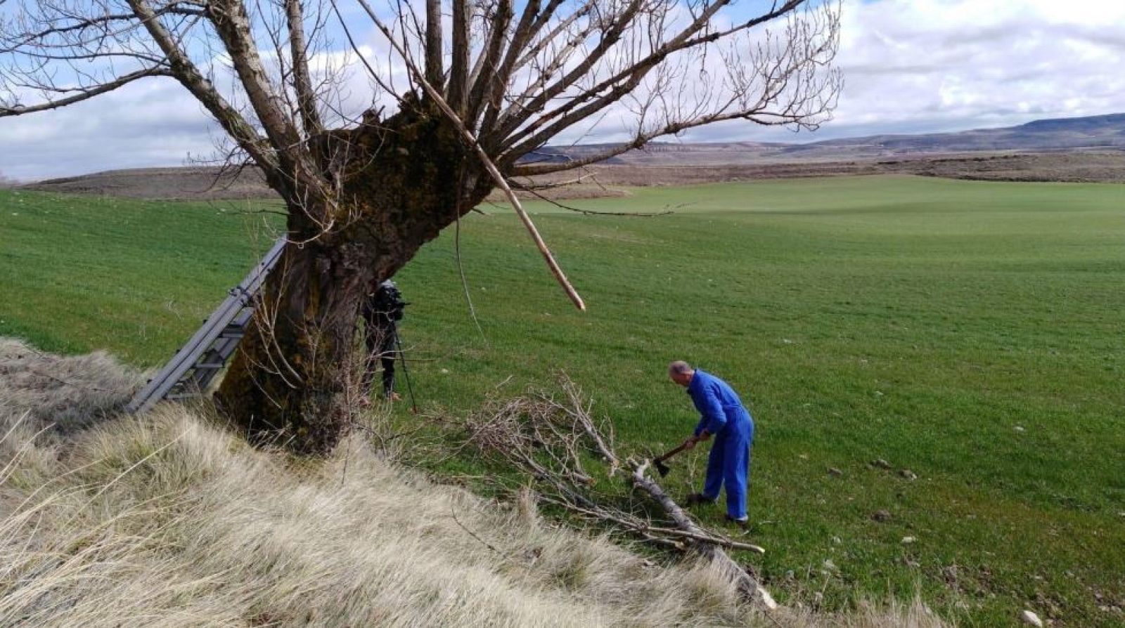 Aquí la Tierra - 25/03/20 - ver ahora