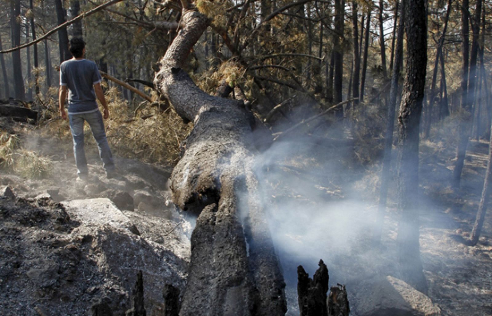 El incendio de Ávila no está controlado todavía | Ver
