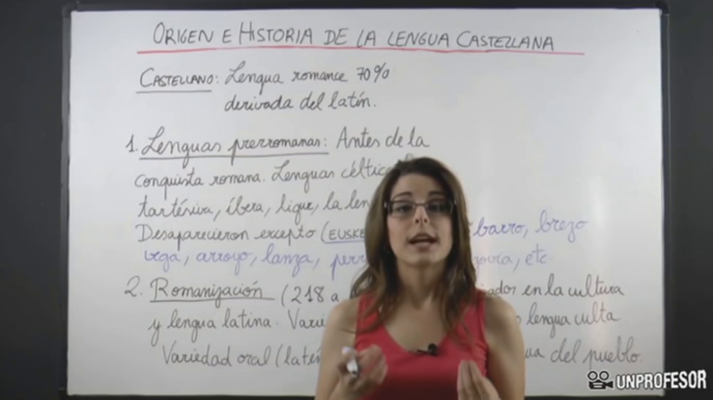 Aprendemos en casa - 14/16 -  Lengua e idiomas: Lengua castellana y literatura