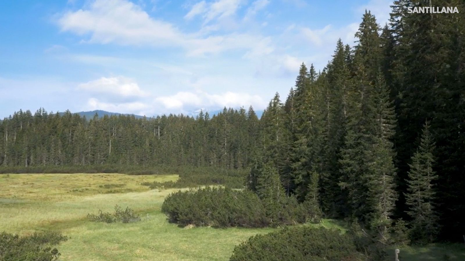 CIENCIAS NATURALES - Los árboles y las estaciones del año - EduClan 6 a 8 años | Ver