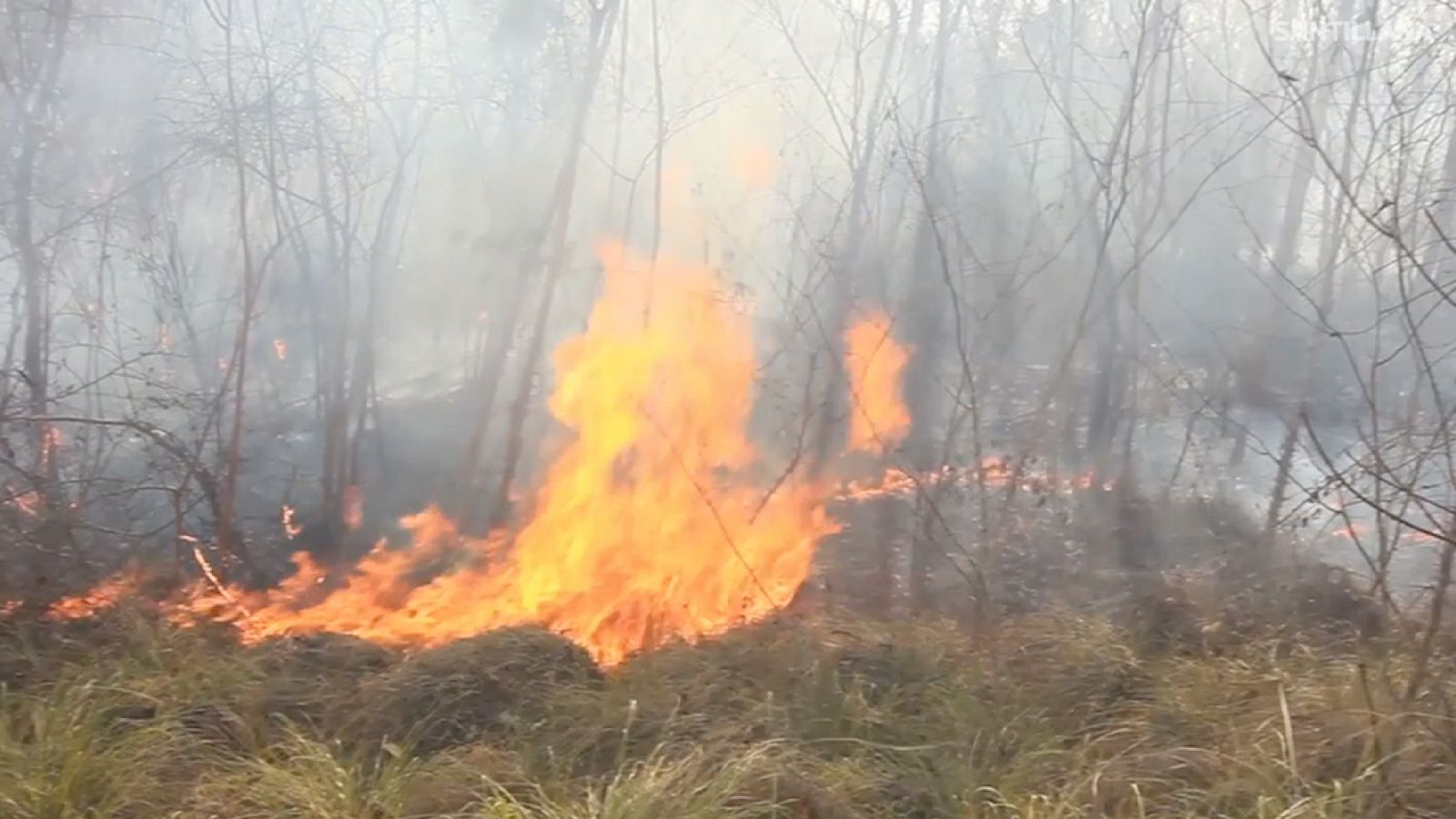 CIENCIAS NATURALES - Los grandes problemas de la naturaleza - EduClan 6 a 8 años | Ver