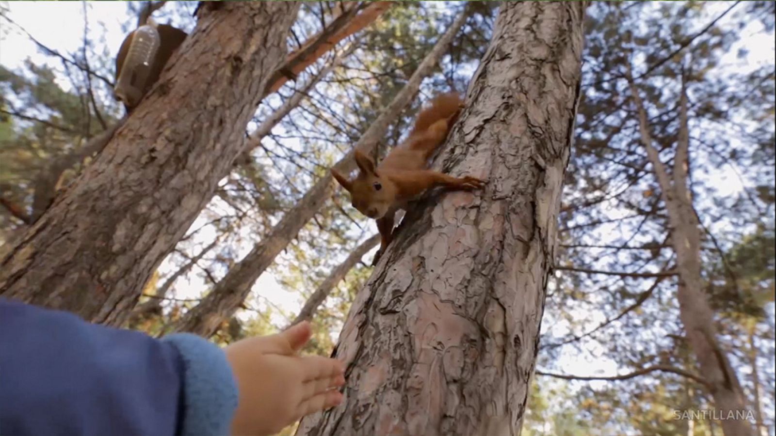 CIENCIAS NATURALES - Nos gustan los animales - EduClan 6 a 8 años | Ver