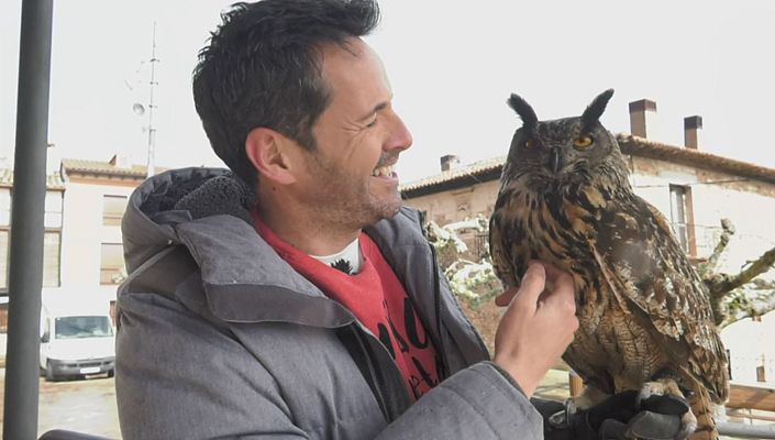 Aquí la Tierra - Bienvenidos al reino de los búhos