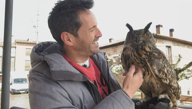 Aquí la Tierra - Bienvenidos al reino de los búhos