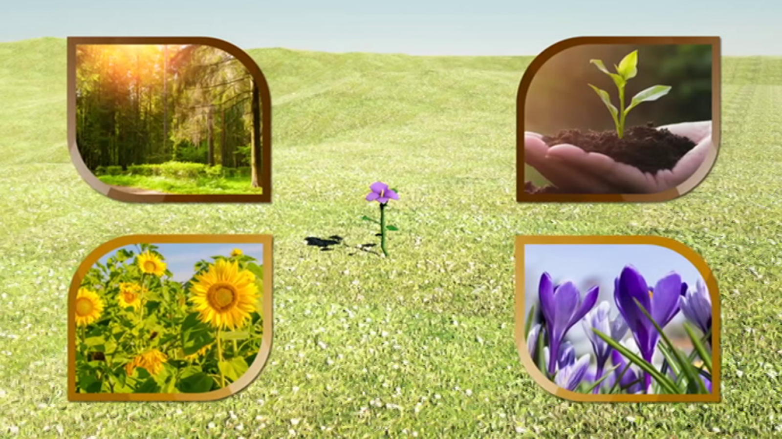 Aprendemos en casa 6 a 8 años - Programa 5 - Ciencias naturales (27/03/20) - RTVE.es - Aprendemos en casa 6 a 8 | Ver