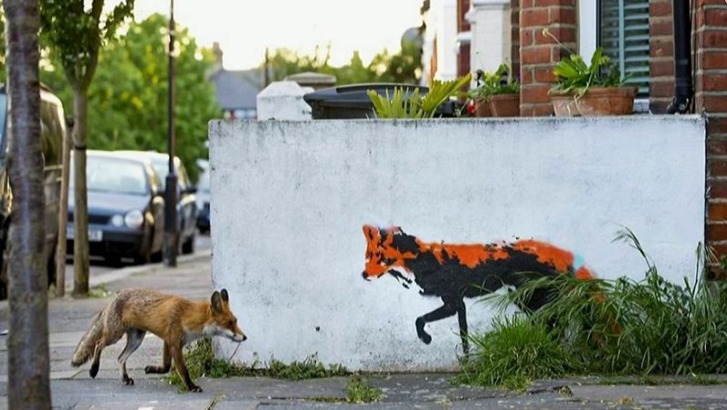 Los animales toman las calles vacías por el confinamiento