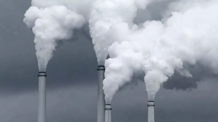 El escarabajo verde - Cambio climático: realidad y relato