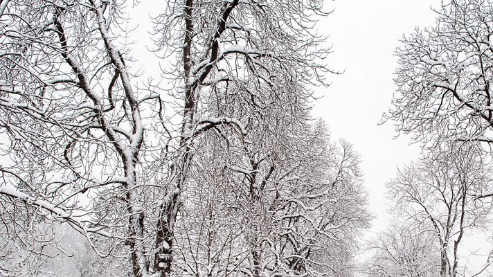 El tiempo - El riesgo por nevadas afectará a cinco provincias del sureste