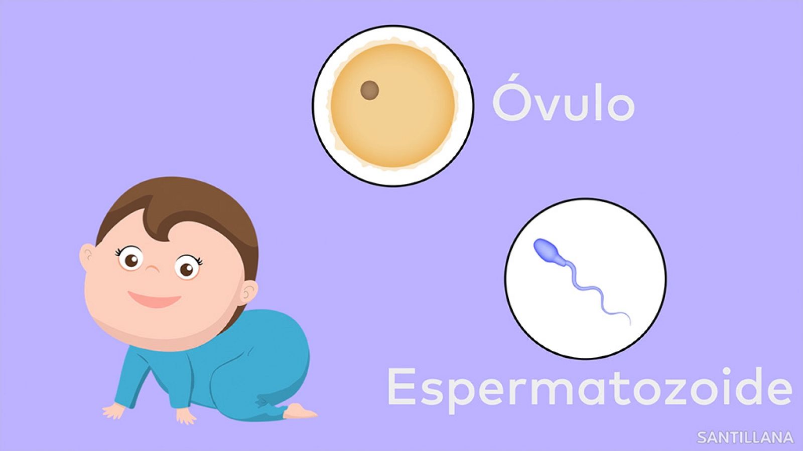 CIENCIAS NATURALES - La reproducción - EduClan 9 a 10 años | Ver