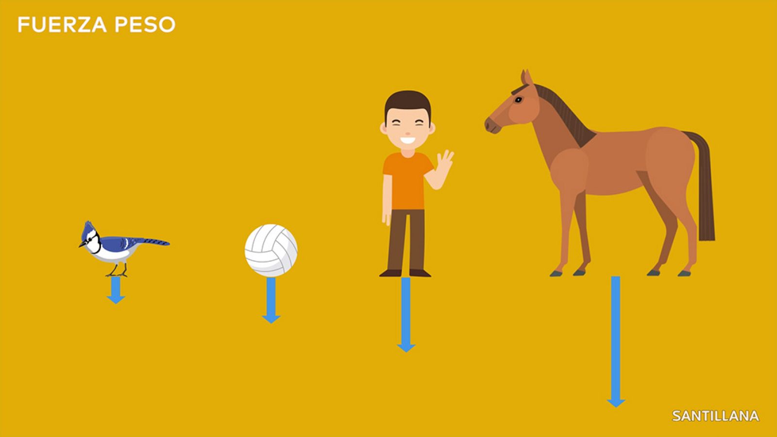 CIENCIAS NATURALES - La fuerza peso y la gravedad - EduClan 9 a 10 años | Ver