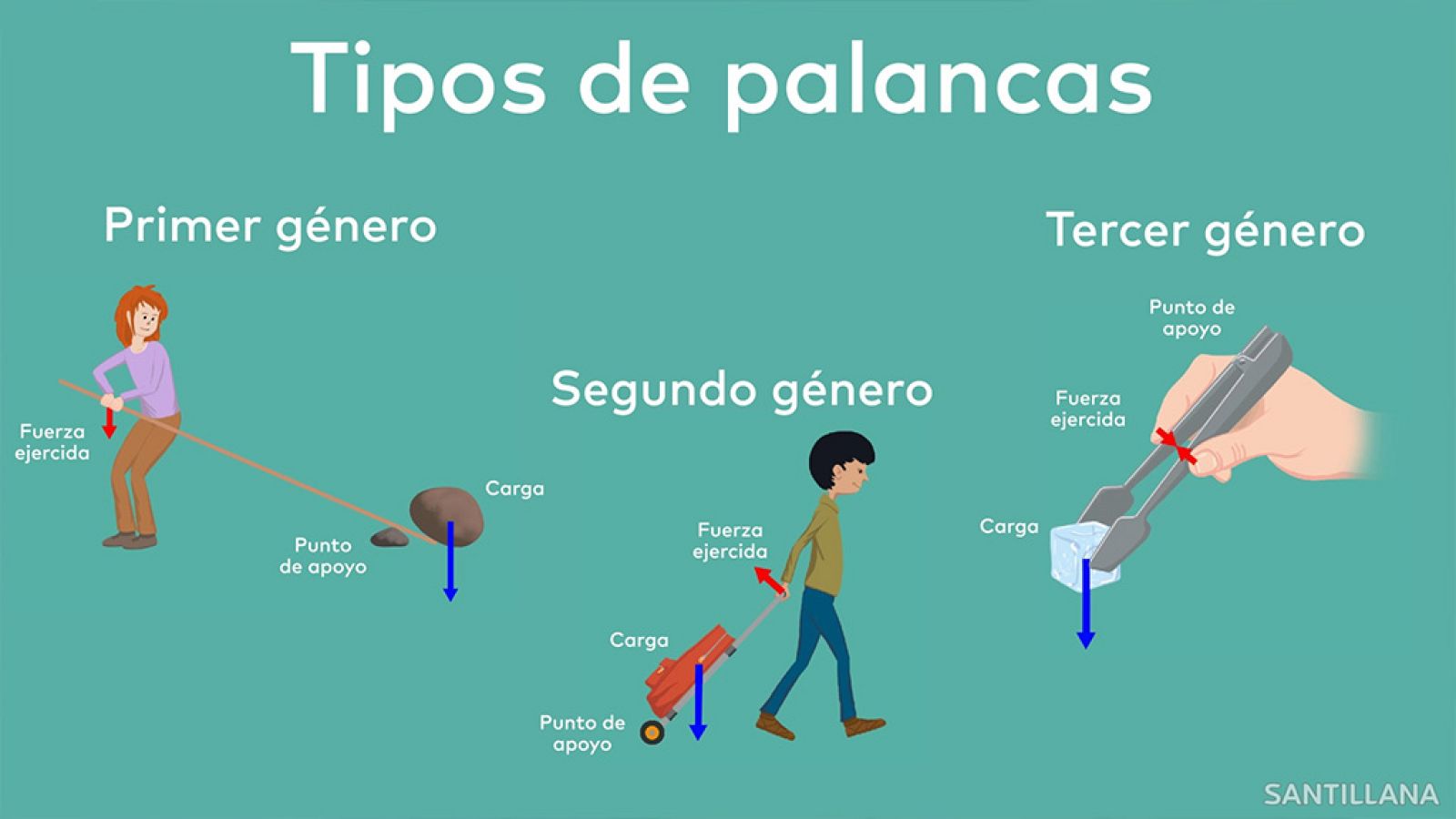 CIENCIAS NATURALES - Tipos de palancas - EduClan 9 a 10 años | Ver