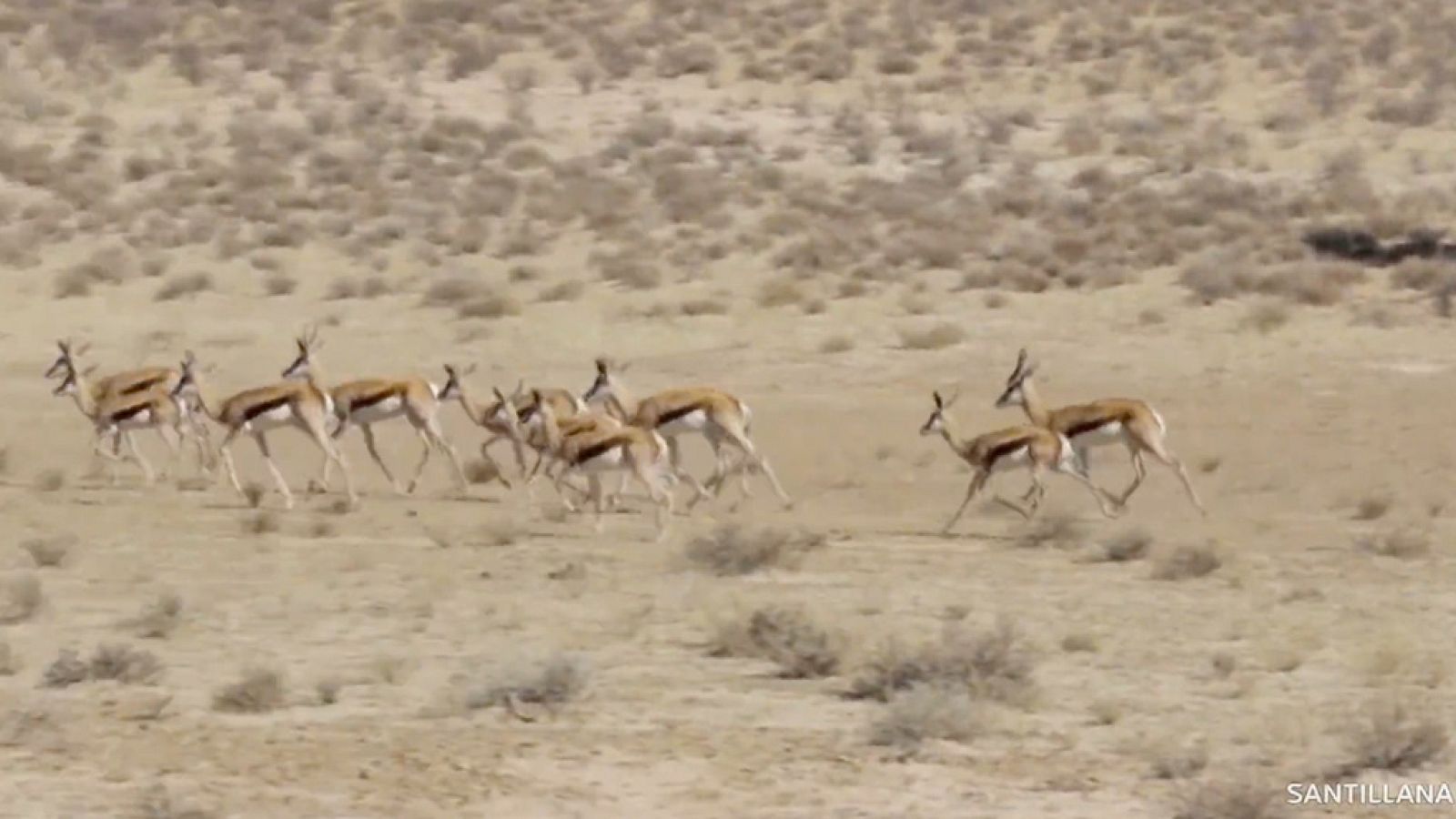 CIENCIAS NATURALES - Descubrimos animales - EduClan 6 a 8 años | Ver