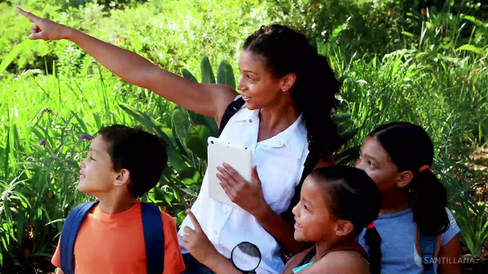 CIENCIAS NATURALES - Observamos las plantas - EduClan 9 a 10 años | Ver