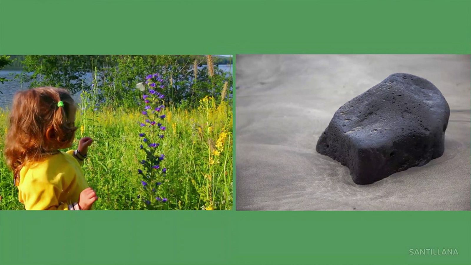 CIENCIAS NATURALES - Los seres vivos - EduClan 9 a 10 años | Ver