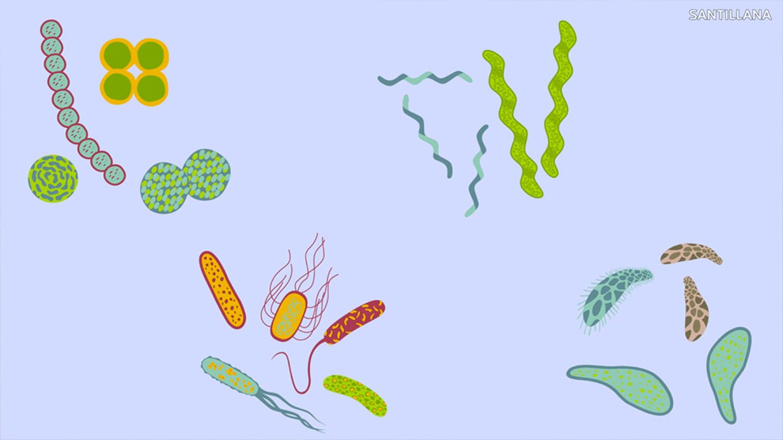 CIENCIAS NATURALES - El reino de las bacterias - EduClan 9 a 10 años | Ver