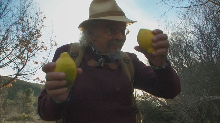 Aquí la Tierra - Cómo hacer un jarabe de limón natural en casa