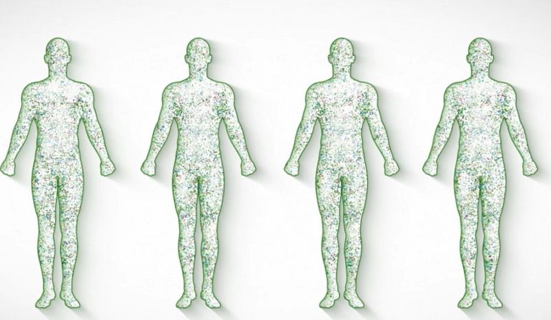 ¿Qué es el plasma y cómo puede usarse para curar a pacientes con coronavirus?