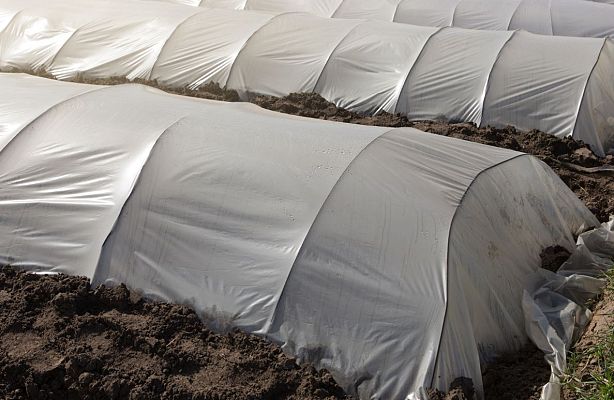 Aquí la Tierra - Cómo se construye un túnel de cultivo