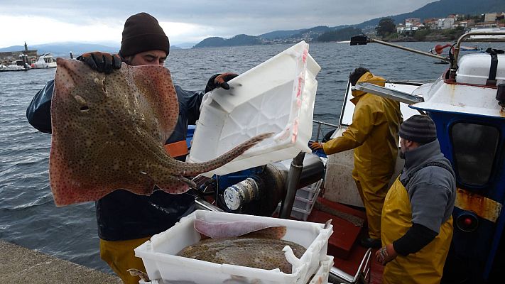 Telediario 1 - La afiliación a la Seguridad Social sufre el mayor desplome de su historia con 834.000 empleos menos por el coronavirus