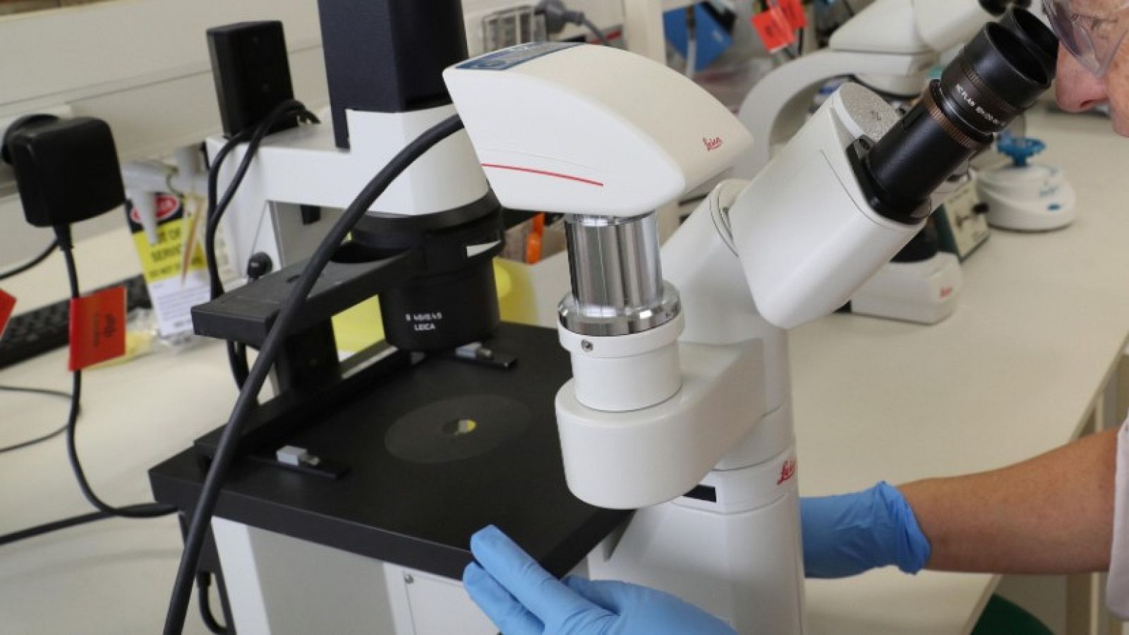 Científcos españoles trabajan en varias líneas de investigación para encontrar una vacuna