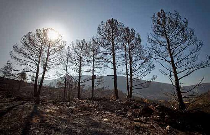 Informe semanal - Después del fuego