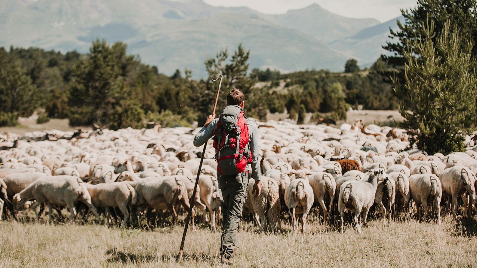 Entre ovejas - Programa 1: Mariló / Melanie - ver ahora