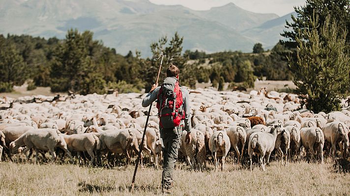 Entre ovejas - Programa 1: Mariló / Melanie