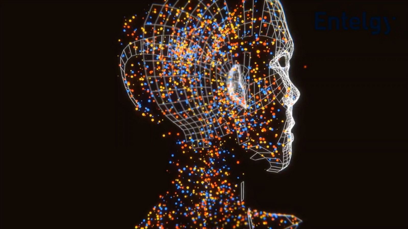 Zoom Net - Entelgy, Galaxy S20 Ultra, Tequila Works - ver ahora