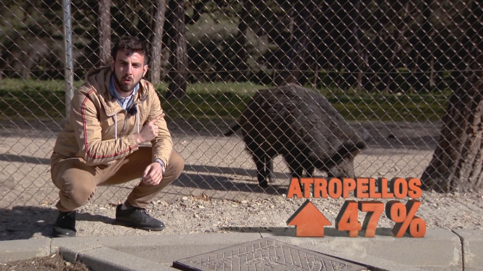 Seguridad Vital - 05/04/20 - ver ahora