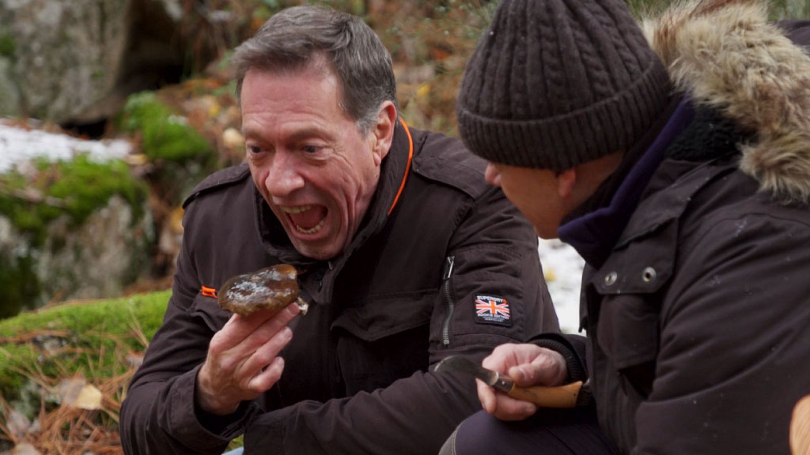 El señor de los bosques - Santa María de la Alameda (Madrid) - ver ahora