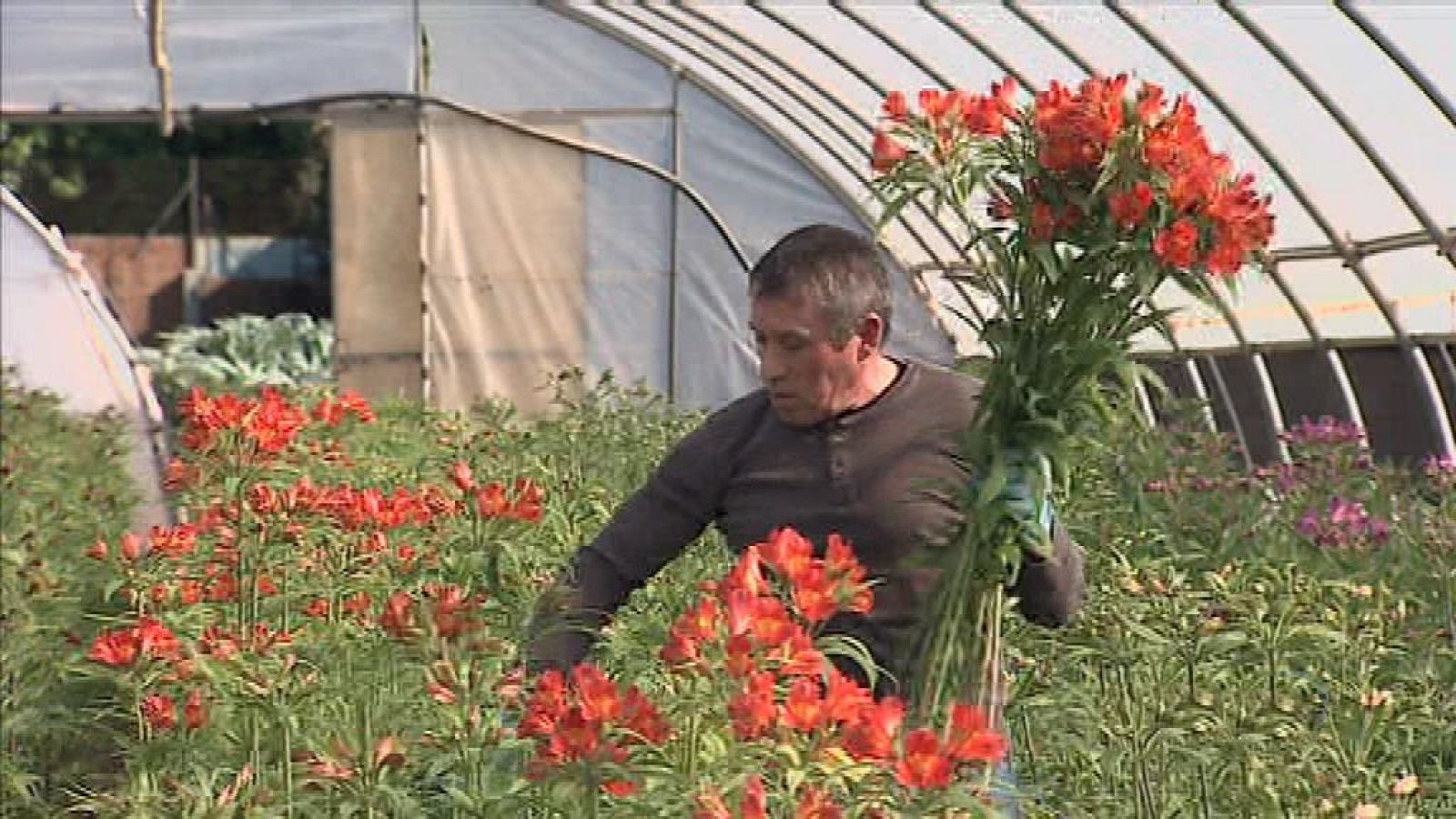 L'Informatiu - Comunitat Valenciana - 06/04/20 - ver ahora