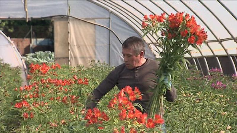 L'Informatiu - Comunitat Valenciana - 06/04/20 - ver ahora