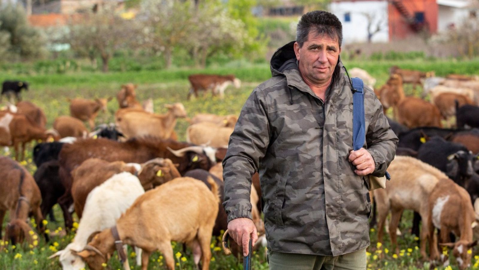 Los ganaderos acusan el cierre de la restauración, la hostelería y el turismo