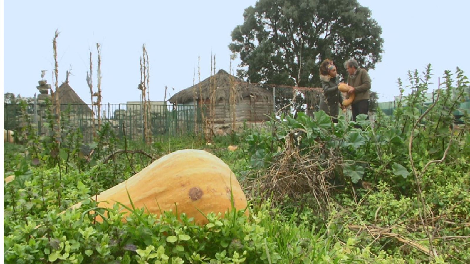 Aquí la Tierra - 07/04/20 - ver ahora