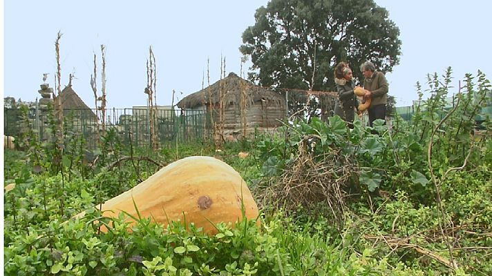 Aquí la Tierra - Aquí la Tierra - 07/04/20