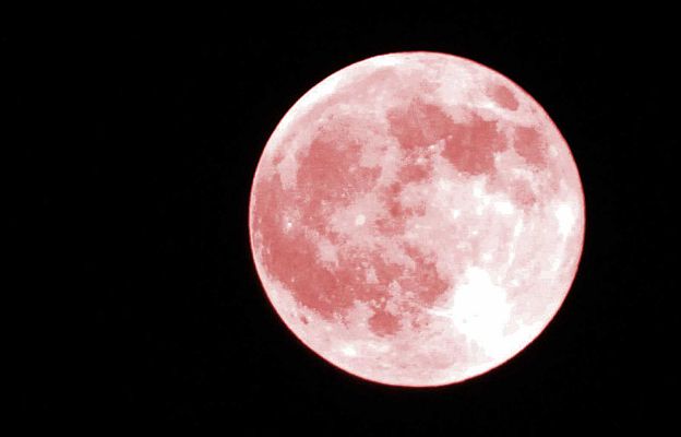 Telediario 1 - La superluna rosa de abril, la mayor luna llena del año, ha pillado a medio mundo confinado
