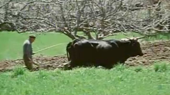 Archivo TVE - Los últimos refugios. Parques nacionales de España - Gredos