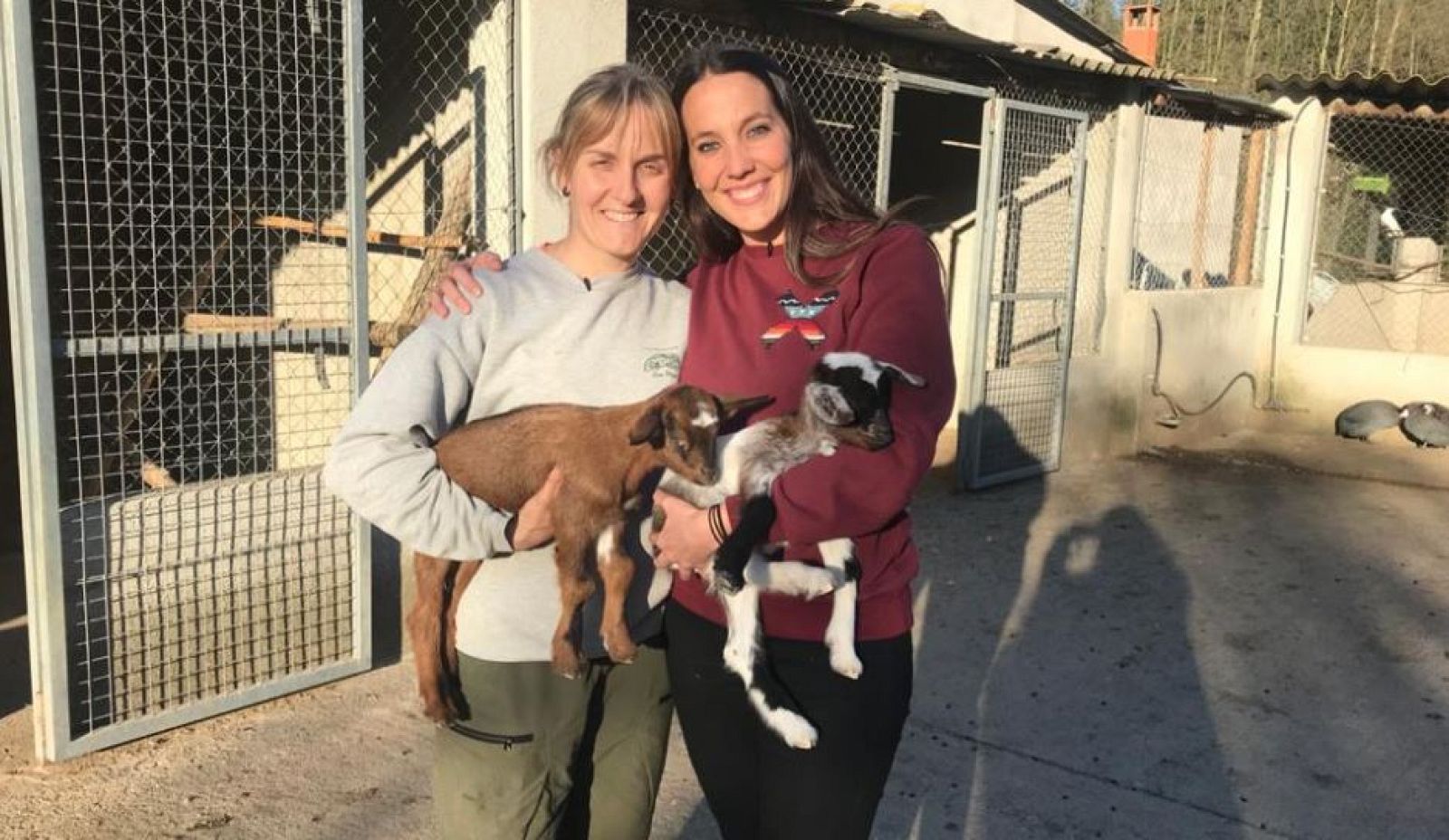 ¿Cuánto dura el embarazo de una vaca, una cabra o una burra?