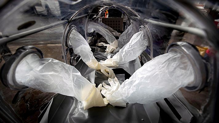 Telediario 1 - Luis Enjuanes (CSIC): los curados de coronavirus tienen inmunidad, aunque no parece "muy fuerte"