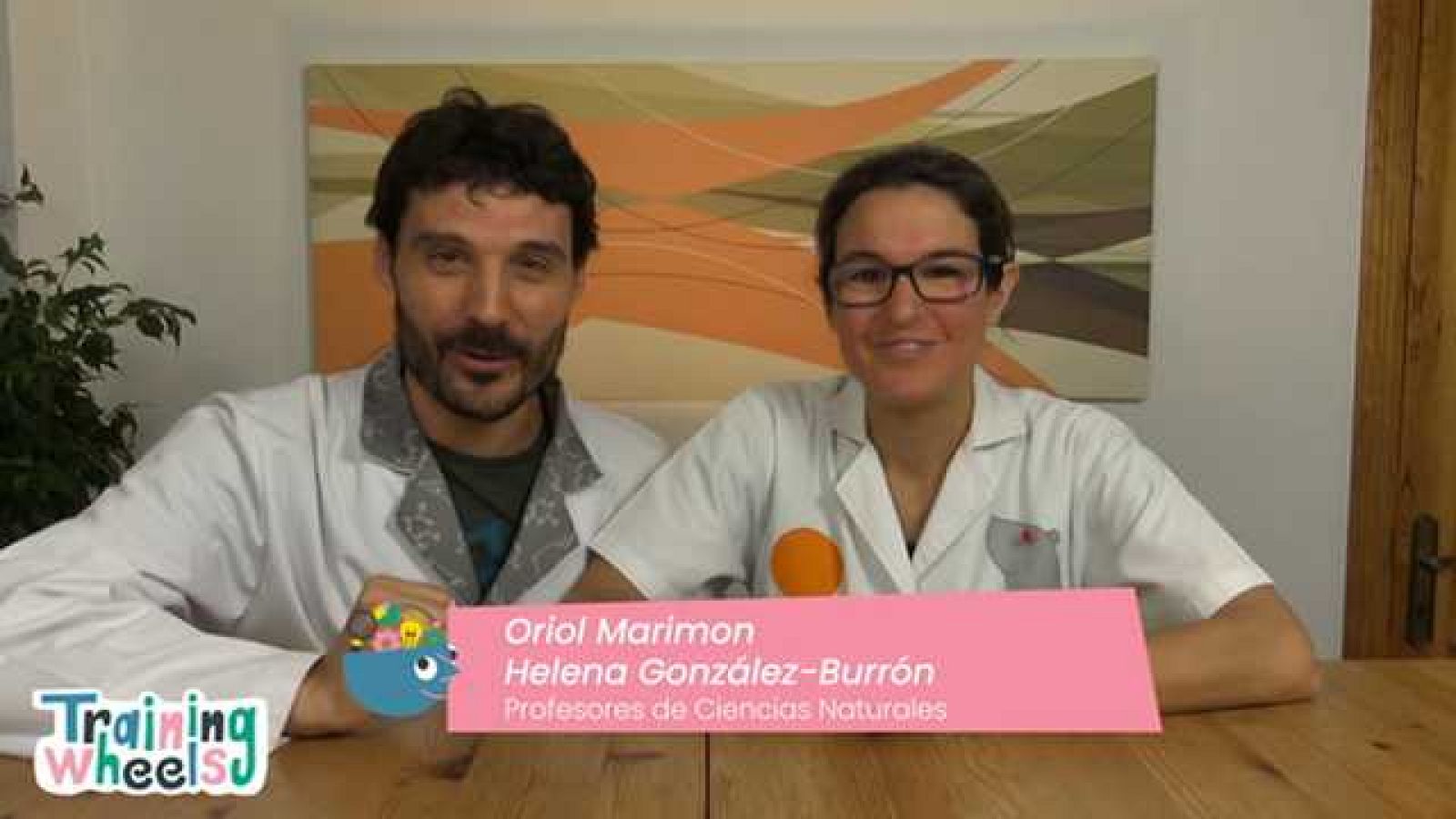 Aprendemos en casa 10 a 12 años - Programa 15 - Ciencias Naturales (17/04/20) - RTVE.es - Aprendemos en casa 10 a 12 | Ver