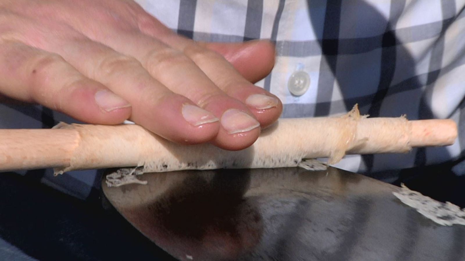 La crujiente tradición de los barquillos