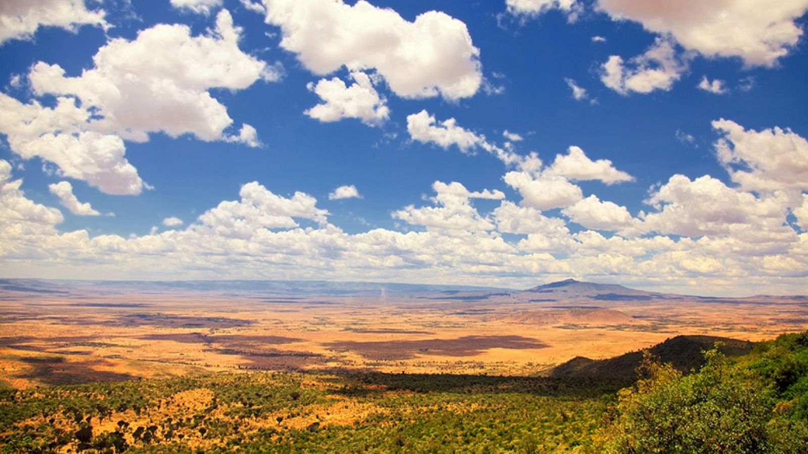 Documenta2 - La fuerza de la vida: la falla albertina - ver ahora