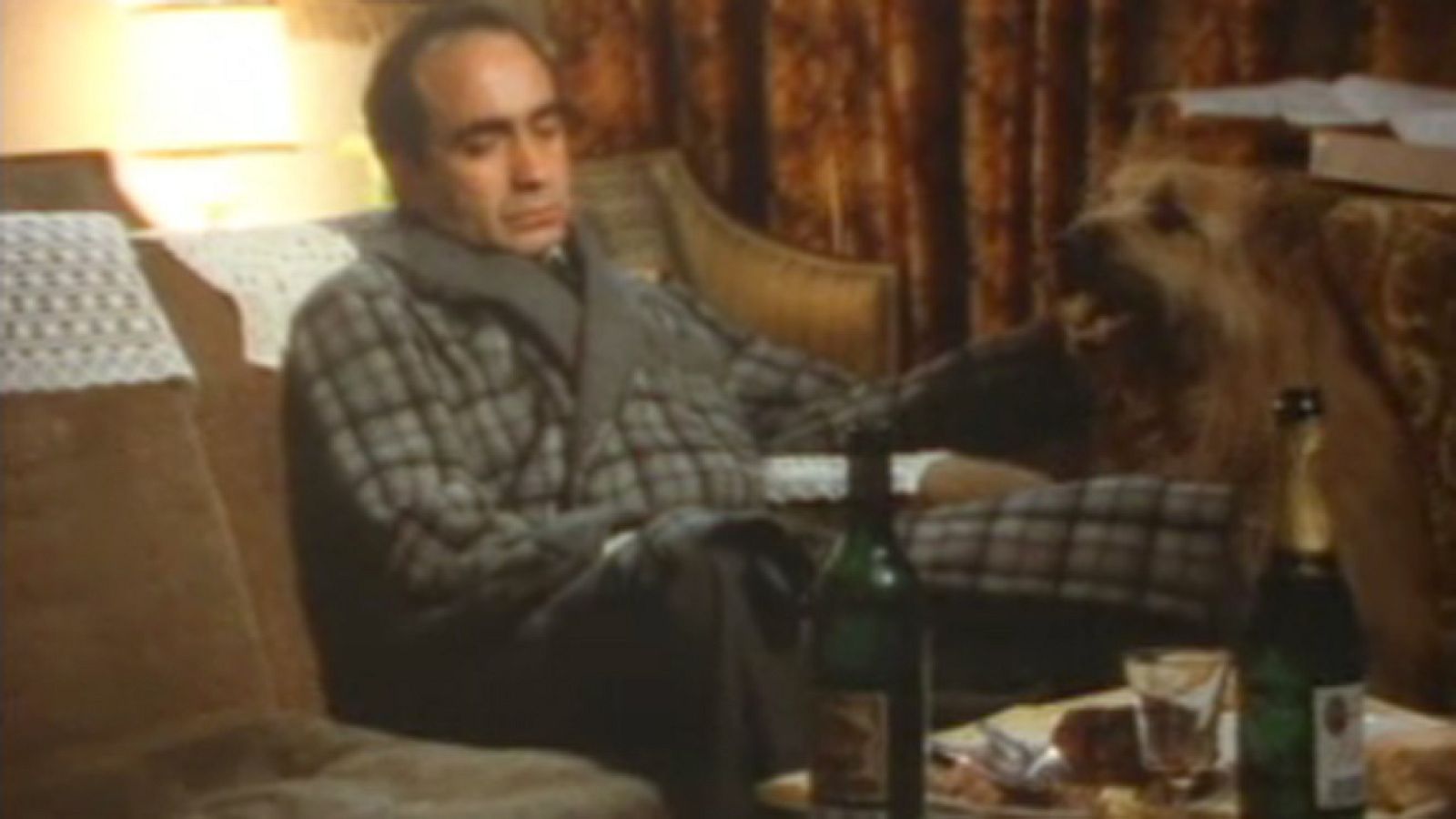 Crónicas urbanas - Corazón solitario - Crónicas urbanas | Ver