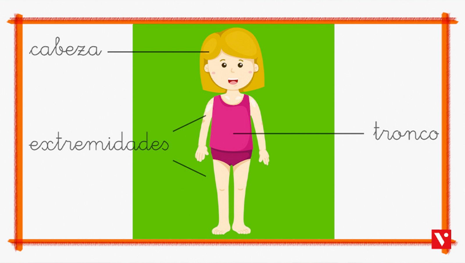 CIENCIAS NATURALES - El cuerpo humano - EduClan 6 a 8 años | Ver