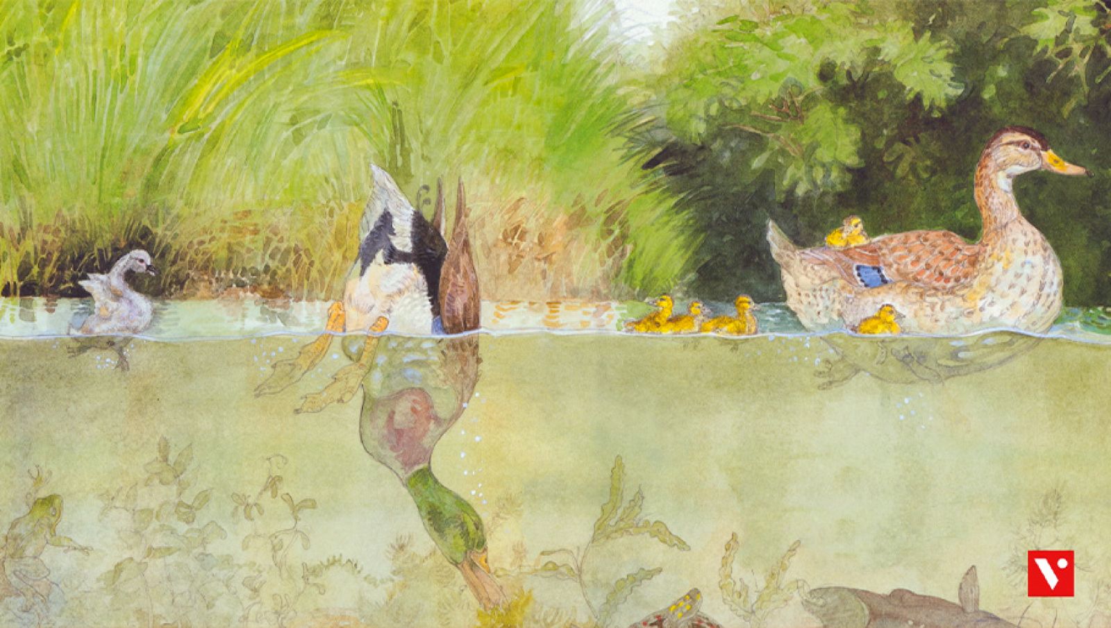 CIENCIAS NATURALES - El patito feo - EduClan 6 a 8 años | Ver