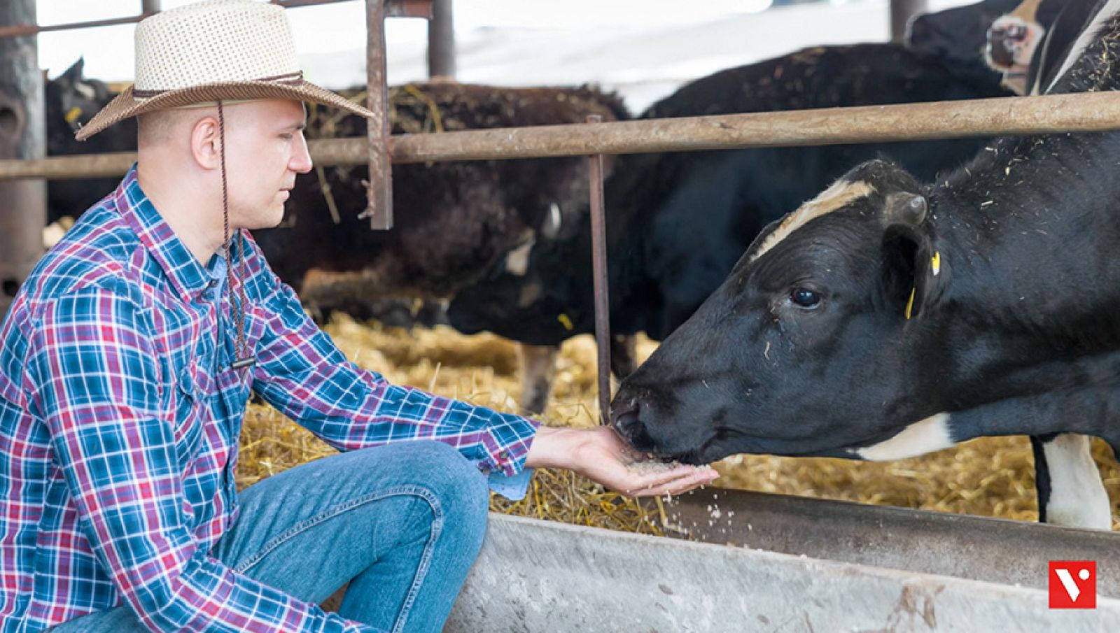 CIENCIAS NATURALES - De visita a la granja - EduClan 6 a 8 años | Ver