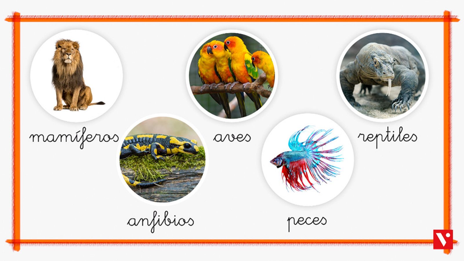 CIENCIAS NATURALES - Los animales - EduClan 6 a 8 años | Ver