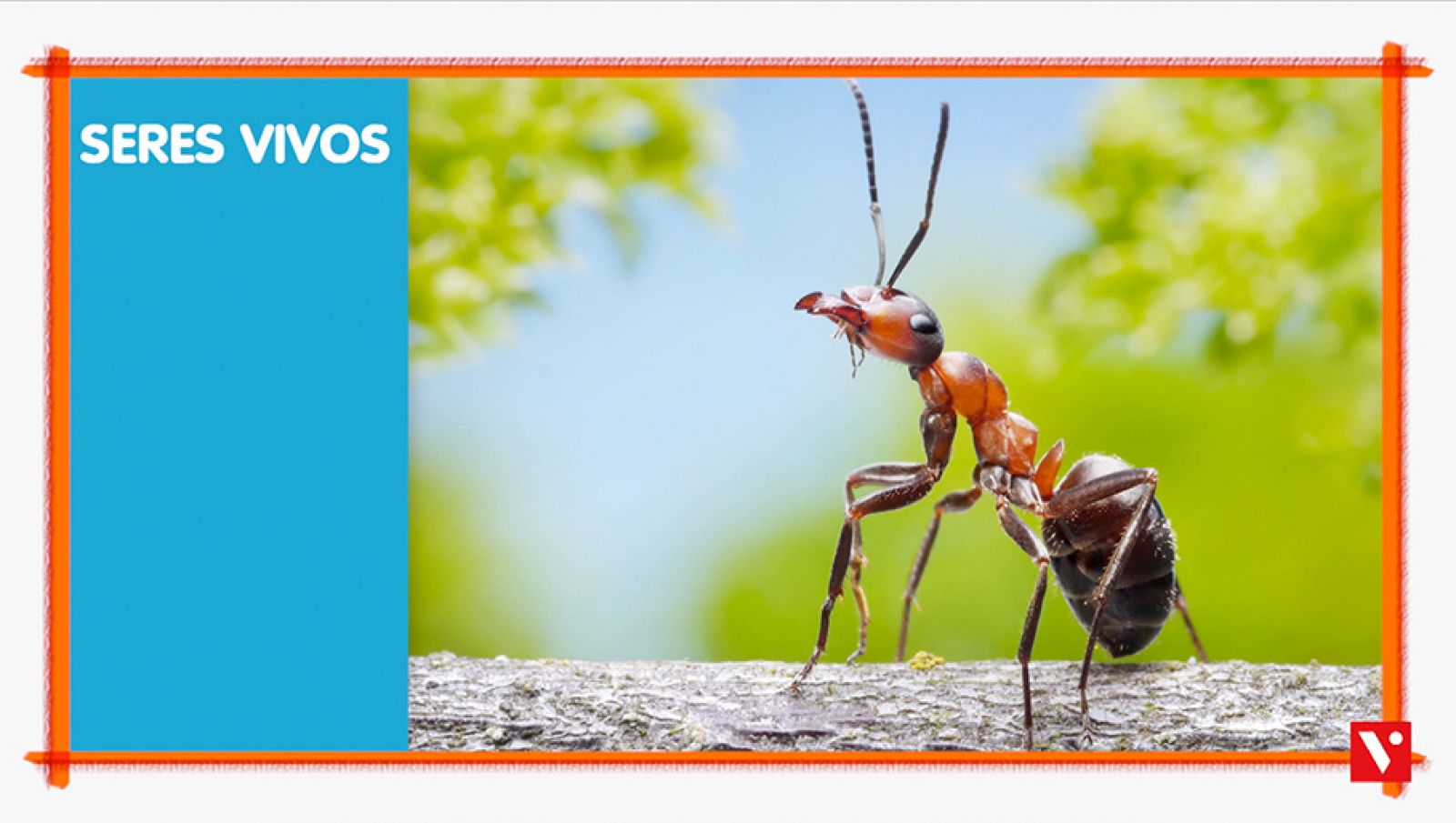 CIENCIAS NATURALES - Los seres vivos - EduClan 6 a 8 años | Ver