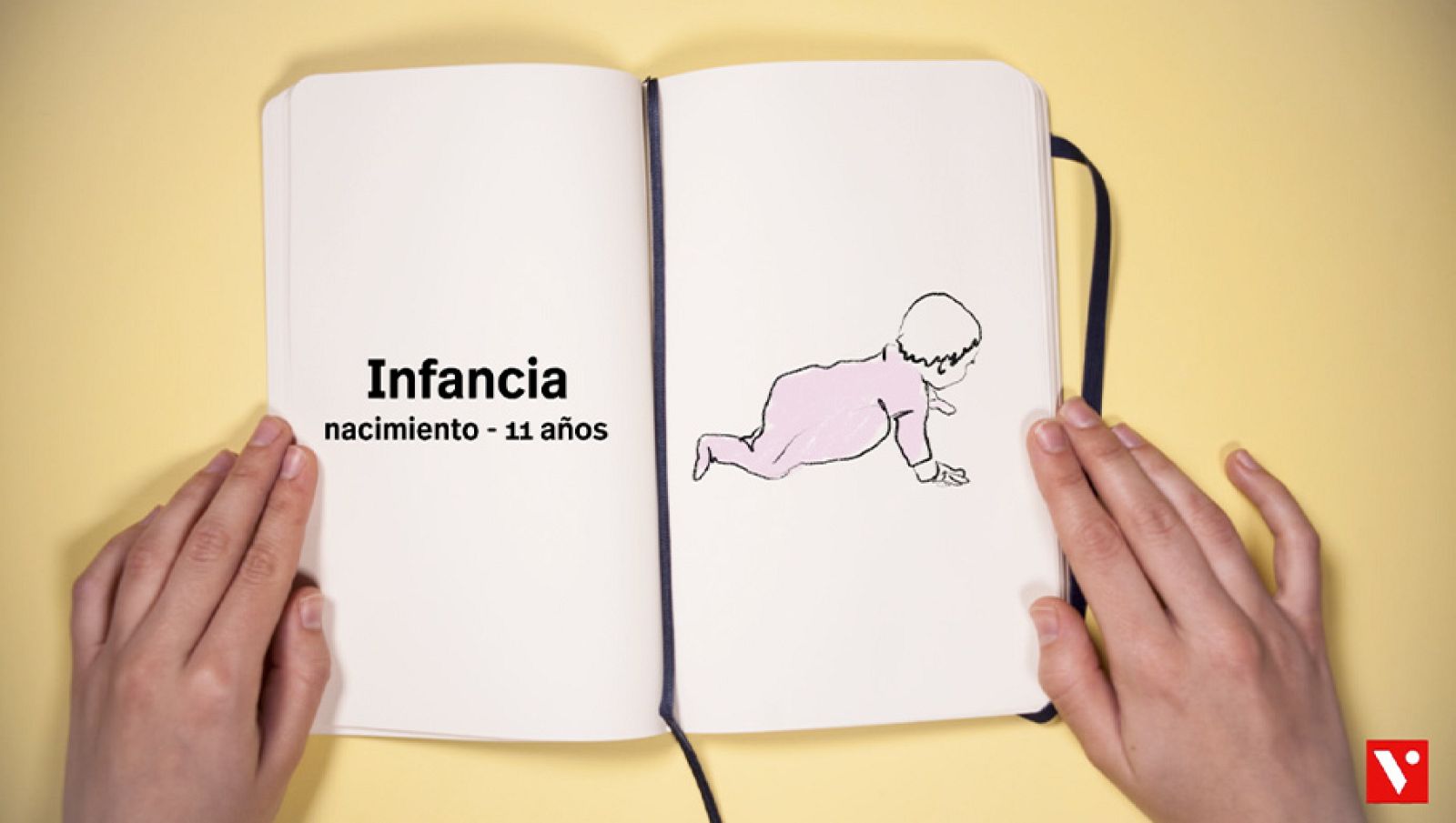 CIENCIAS NATURALES - Etapas de la vida - EduClan 9 a 10 años | Ver