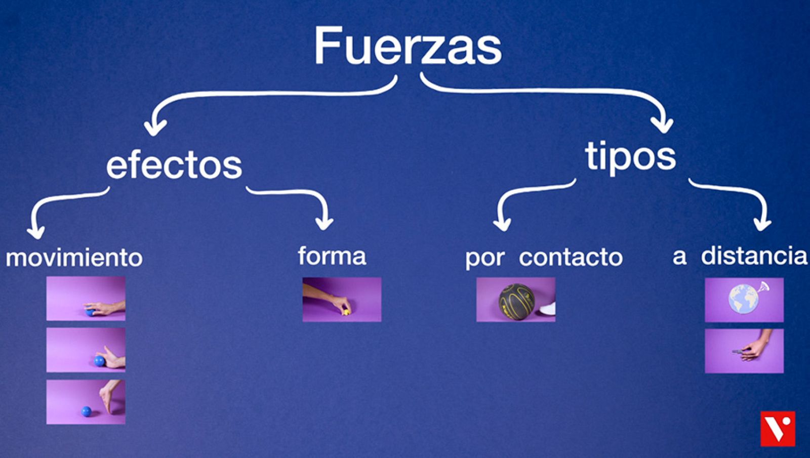 CIENCIAS NATURALES - Las fuerzas - EduClan 9 a 10 años | Ver